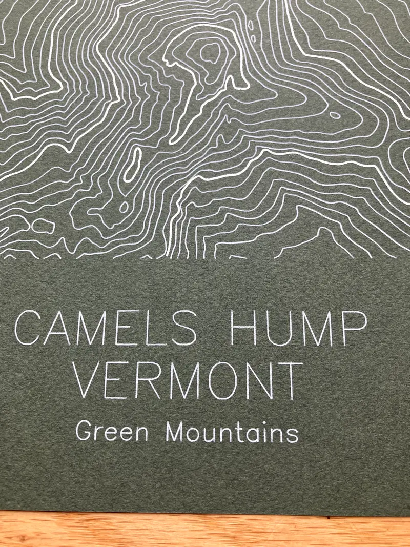 Framed pen-plotted topographic map in the green colorway displayed in a real room, from the same series as this topographic map of Borah Peak, Idaho