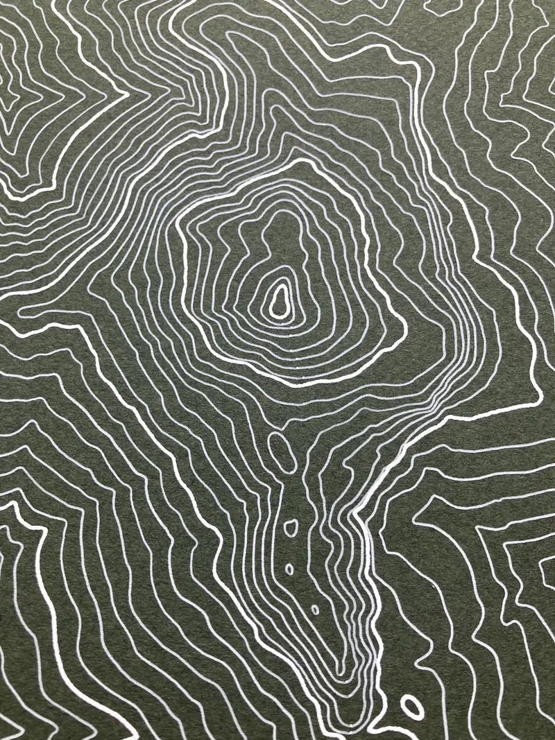 Framed pen-plotted topographic map in the green colorway displayed in a real room, from the same series as this topographic map of Borah Peak, Idaho