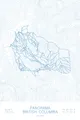 Arctic White