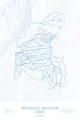 Arctic White