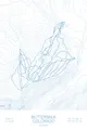 Arctic White
