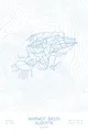 Arctic White