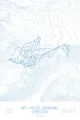 Arctic White