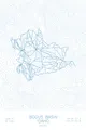 Arctic White