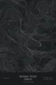 Pen-plotted topographic map of Borah Peak, Idaho in white ink on black paper