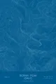 Pen-plotted topographic map of Borah Peak, Idaho in white ink on blue paper