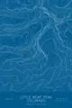 Pen-plotted topographic map of Little Bear Peak, Colorado in white ink on blue paper