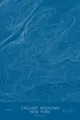 Pen-plotted topographic map of Cascade Mountain, New York in white ink on blue paper