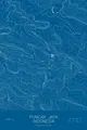 Pen-plotted topographic map of Puncak Jaya, Indonesia in white ink on blue paper