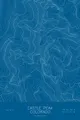 Pen-plotted topographic map of Castle Peak, Colorado in white ink on blue paper