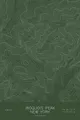 Pen-plotted topographic map of Iroquois Peak, New York in white ink on green paper