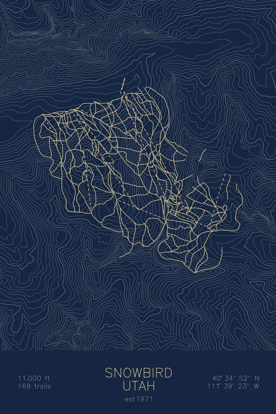 Snowbird, Navy colorway