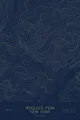 Pen-plotted topographic map of Iroquois Peak, New York in gold ink on navy paper