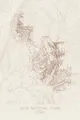 Pen-plotted topographic map of Zion National Park, Utah in bronze ink on cream paper