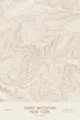 Pen-plotted topographic map of Giant Mountain, New York in bronze ink on cream paper