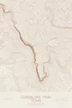 Pen-plotted topographic map of Guadalupe Peak, Texas in bronze ink on cream paper