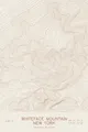 Pen-plotted topographic map of Whiteface Mountain, New York in bronze ink on cream paper
