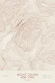 Pen-plotted topographic map of Mount Colden, New York in bronze ink on cream paper