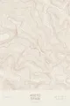 Pen-plotted topographic map of Aneto, Spain in bronze ink on cream paper