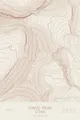 Pen-plotted topographic map of Kings Peak, Utah in bronze ink on cream paper