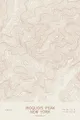 Pen-plotted topographic map of Iroquois Peak, New York in bronze ink on cream paper