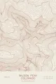 Pen-plotted topographic map of Wilson Peak, Colorado in bronze ink on cream paper