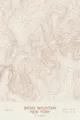 Pen-plotted topographic map of Basin Mountain, New York in bronze ink on cream paper